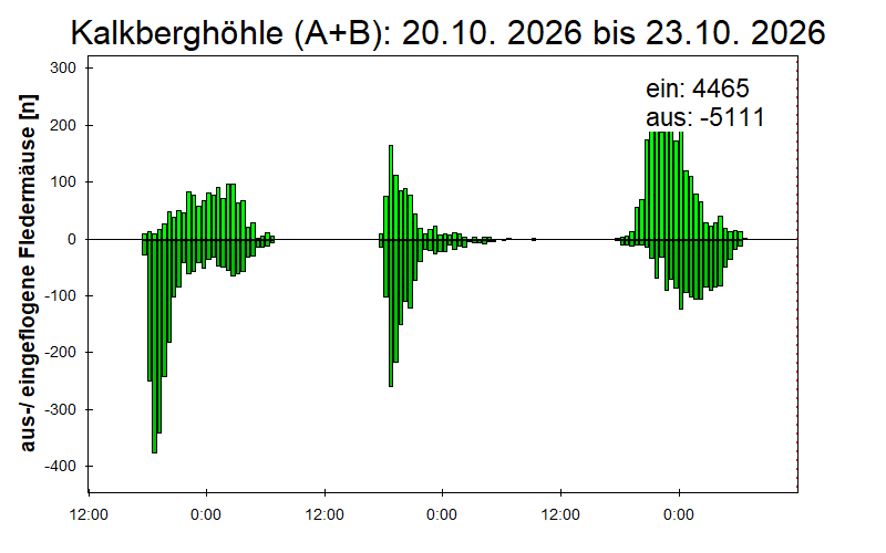 [Fledermaus] Lichtschranke: Segeberger Kalkberg (NABU Schleswig-Holstein)