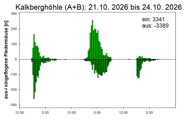 [Fledermaus] Lichtschranke: Segeberger Kalkberg (NABU Schleswig-Holstein)