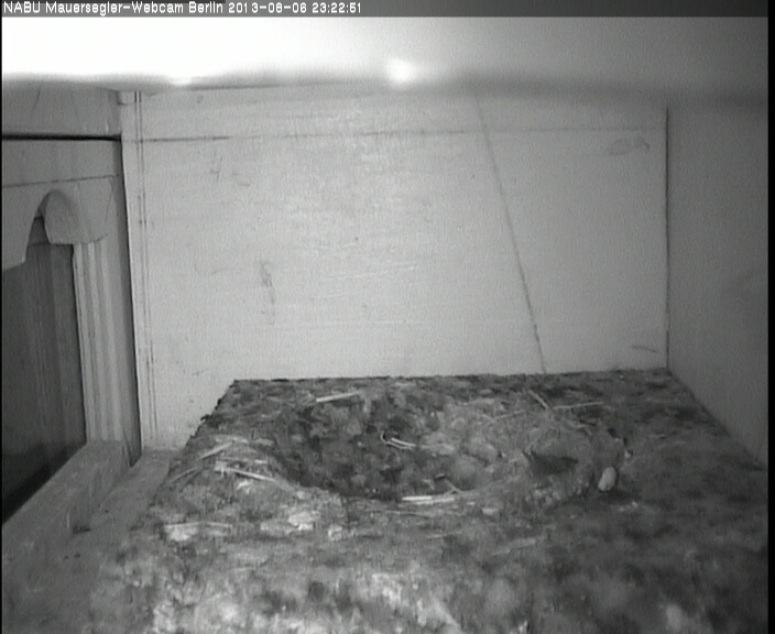 2013-08-06_23:22:51.jpg